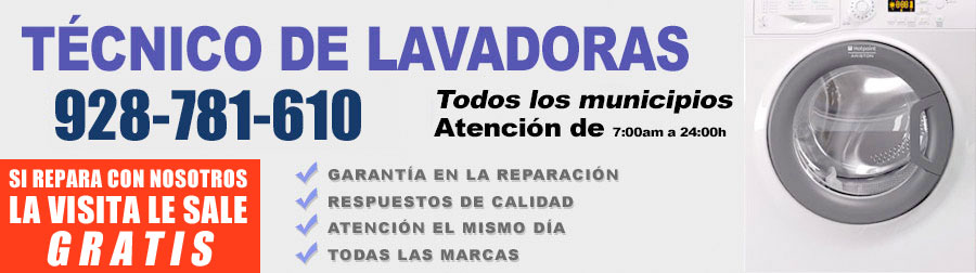 Técnico Lavadora